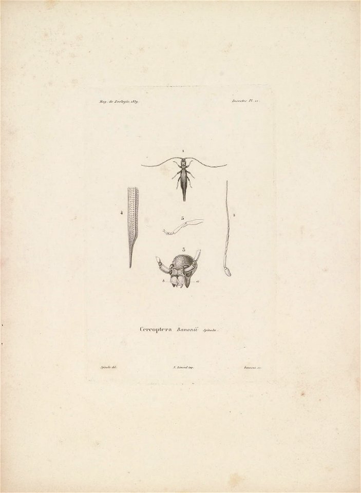 n122_w1150