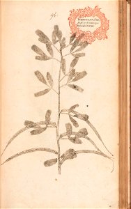 n216_w1150