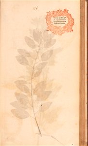 n276_w1150