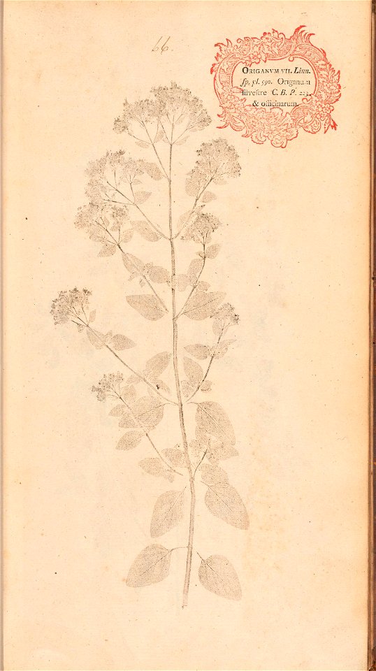 n156_w1150