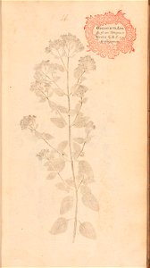 n156_w1150