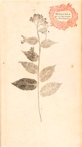 n96_w1150