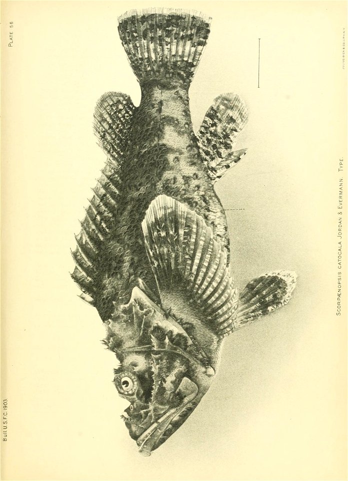n614_w1150