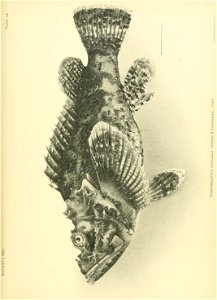 n614_w1150