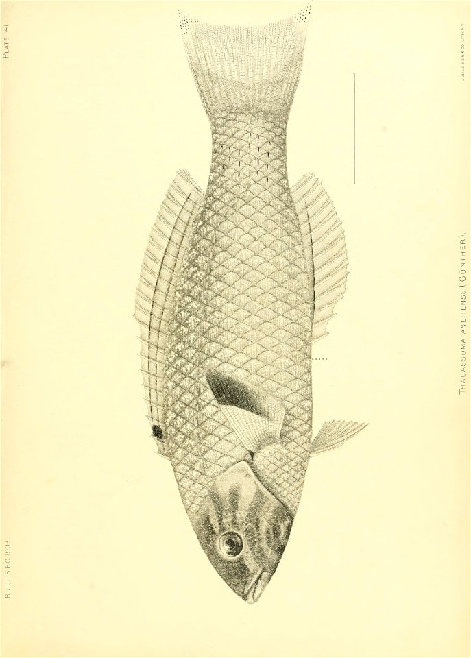 n420_w1150