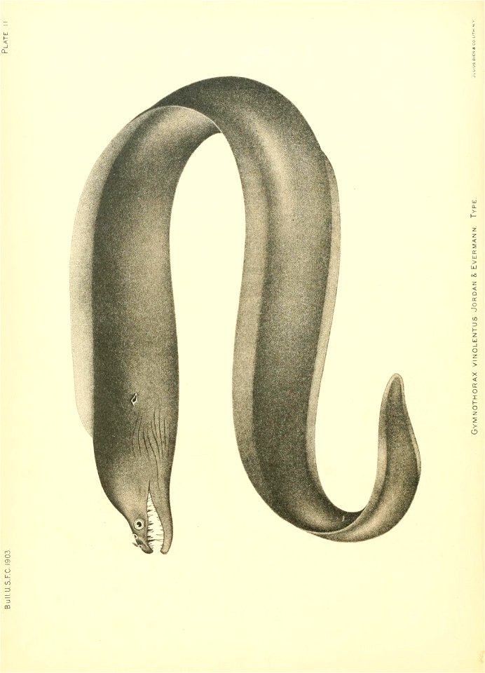 n147_w1150