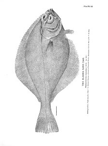n127_w1150