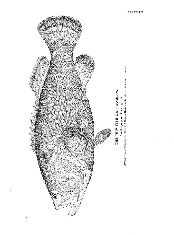 n365_w1150