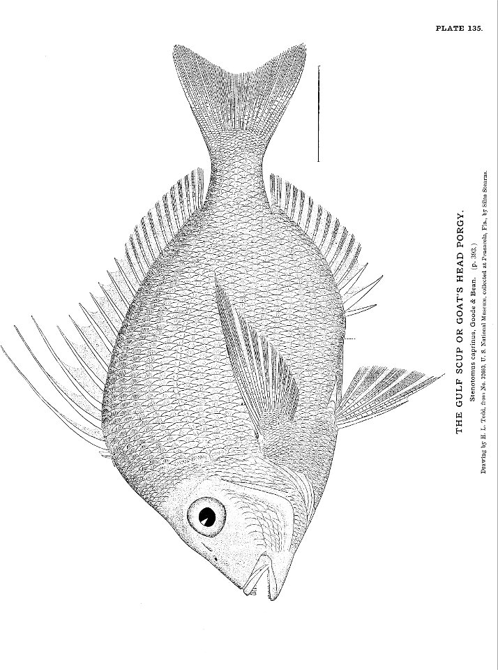 n305_w1150