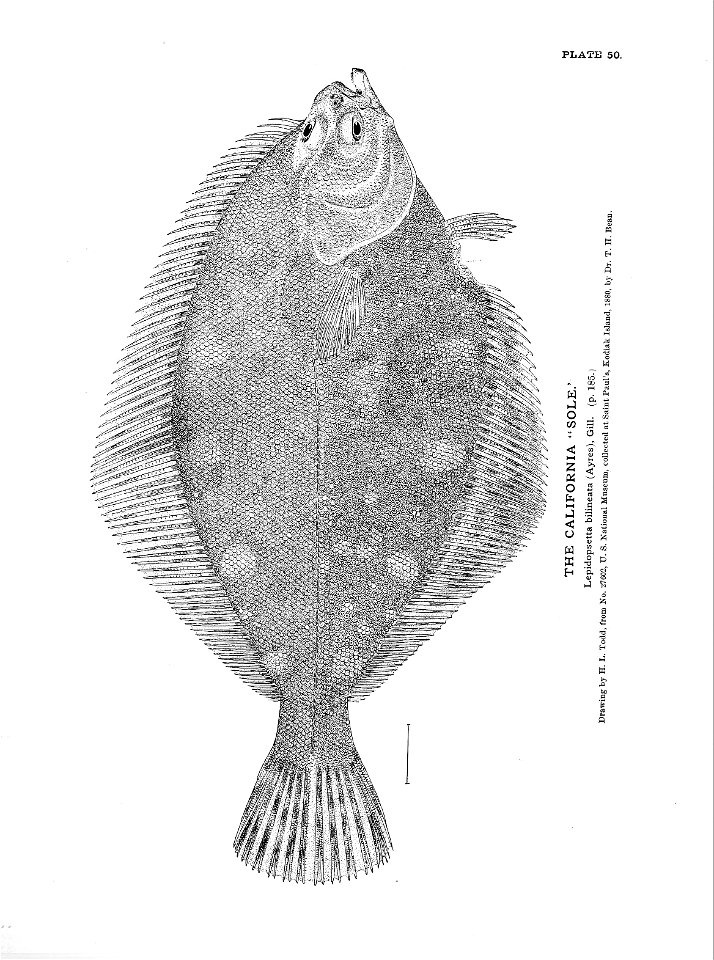 n123_w1150