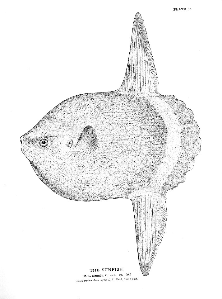 n93_w1150