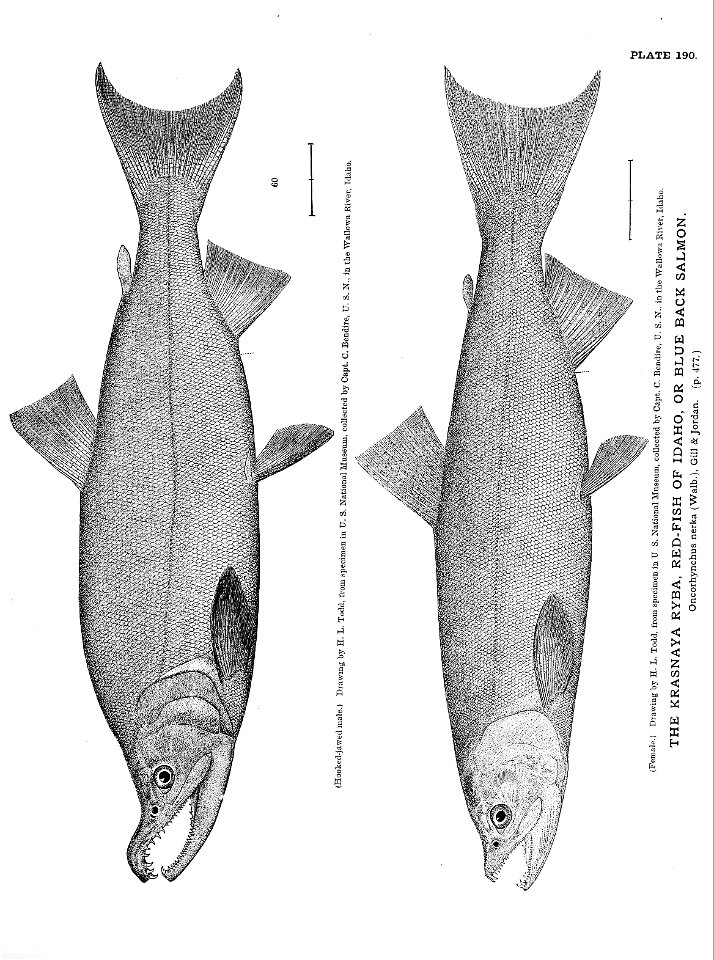 n421_w1150