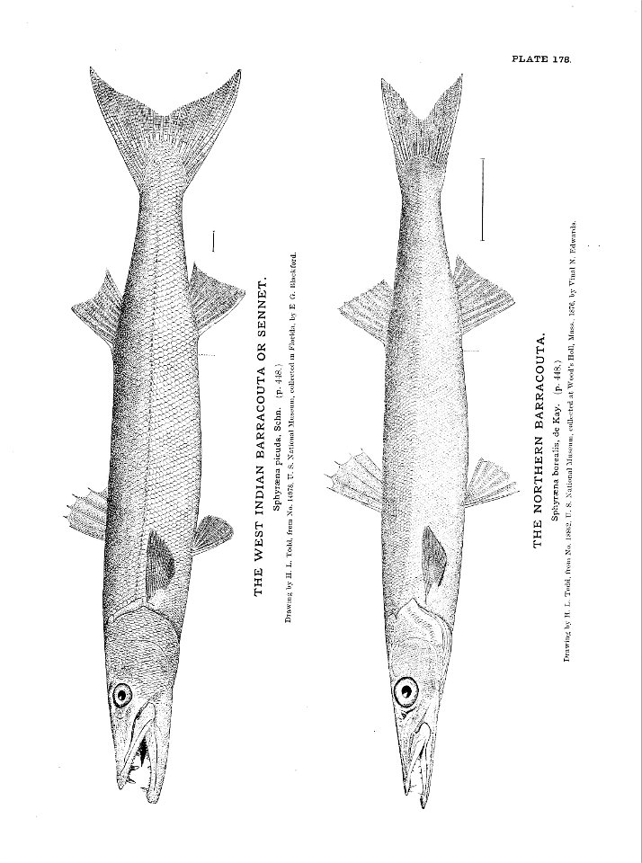 n391_w1150