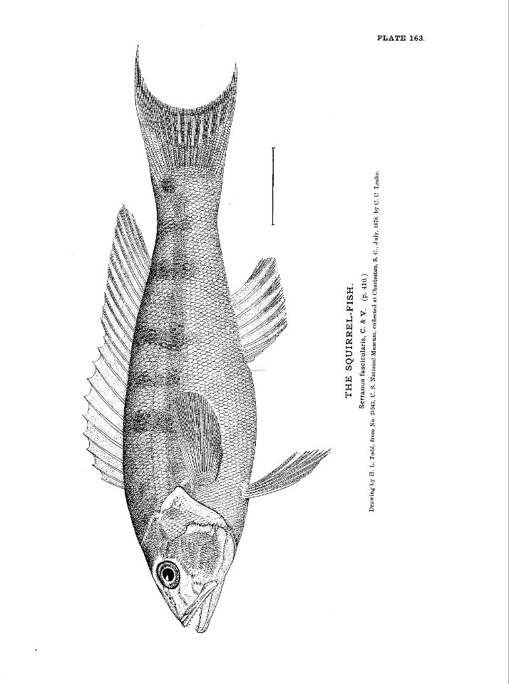 n361_w1150