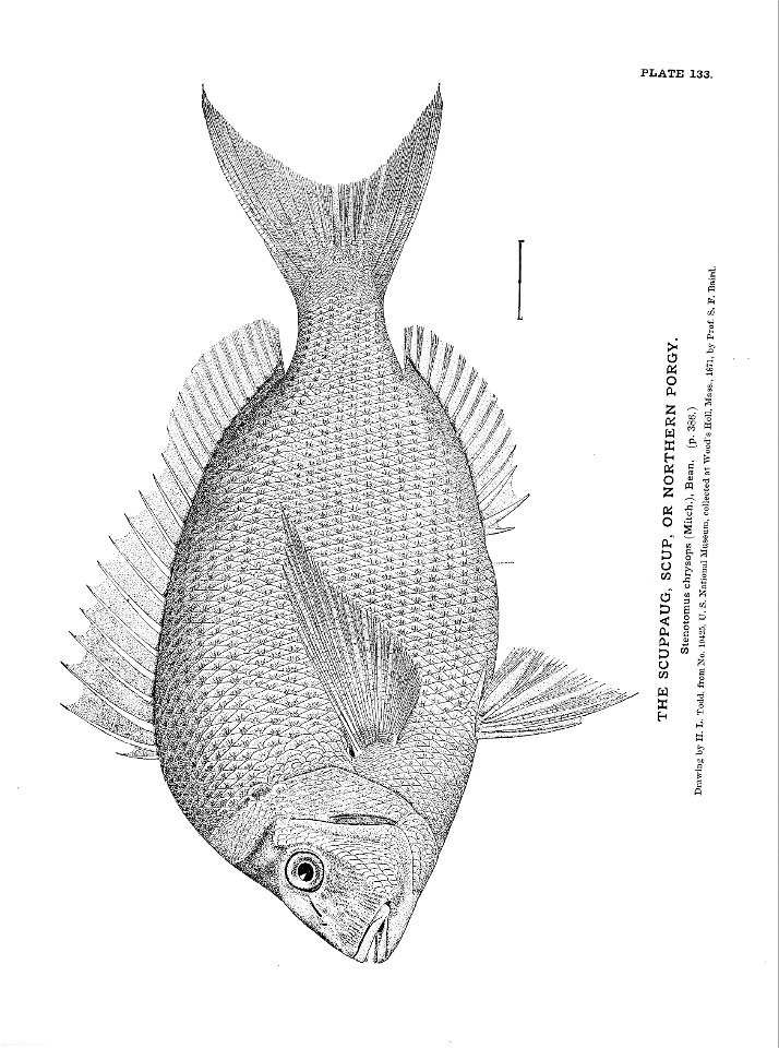 n301_w1150