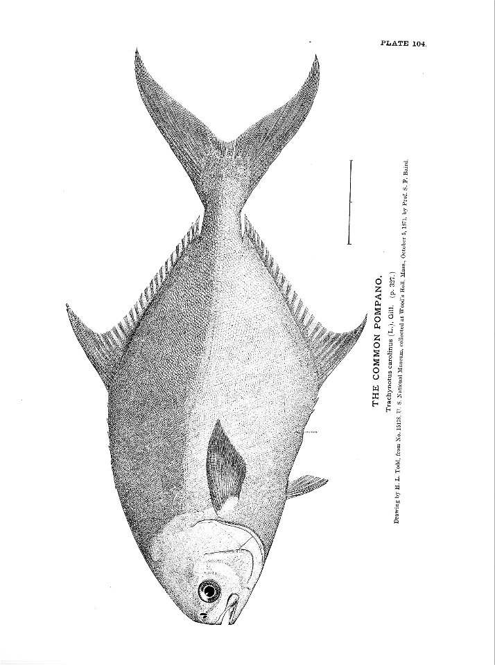 n241_w1150