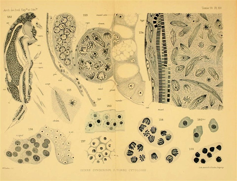 n58_w1150