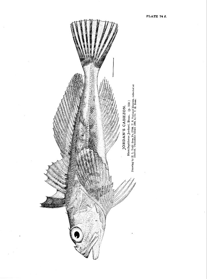 n179_w1150
