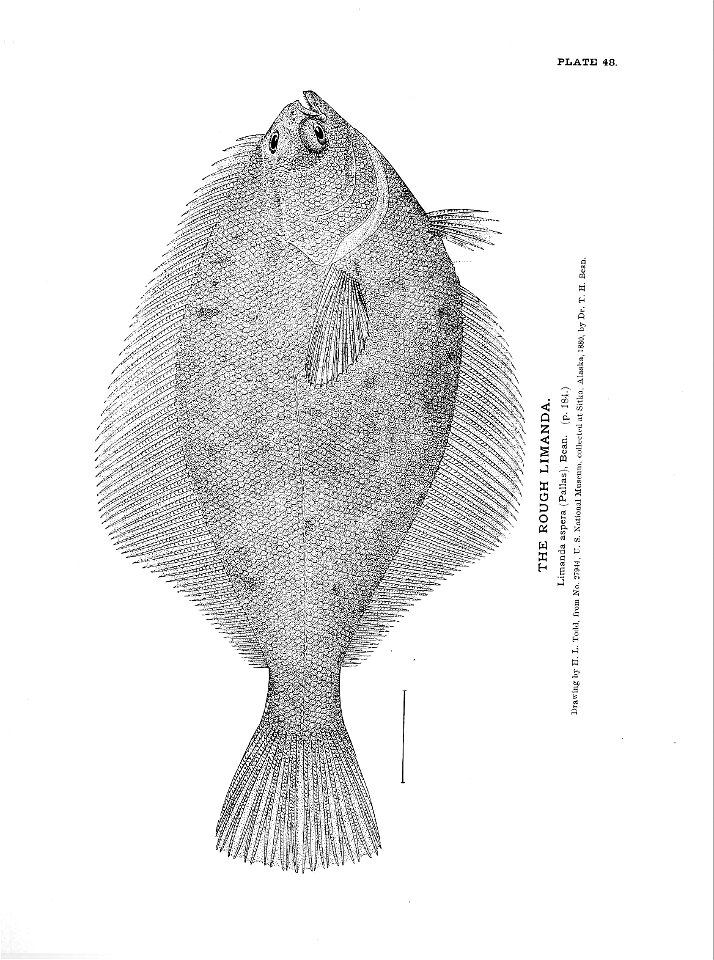 n119_w1150