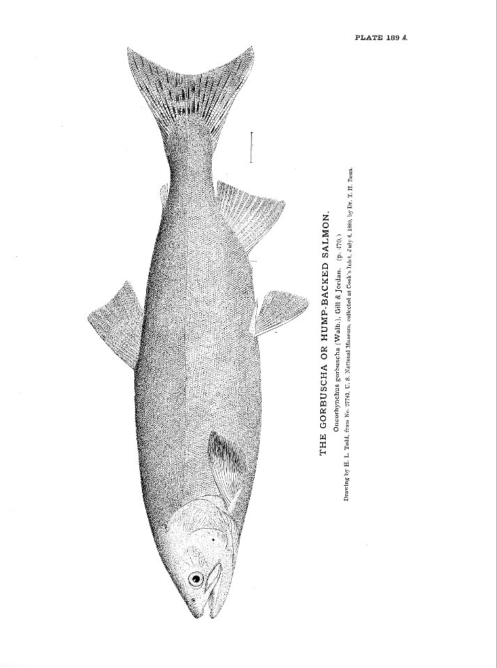 n417_w1150