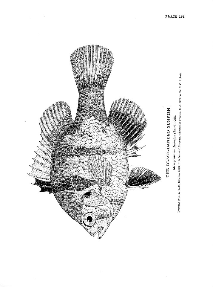n357_w1150