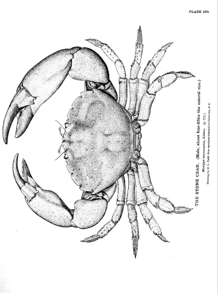 n585_w1150