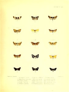 n140_w1150