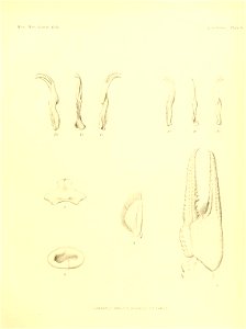 n126_w1150