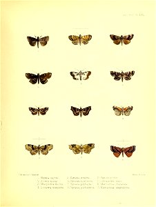 n138_w1150