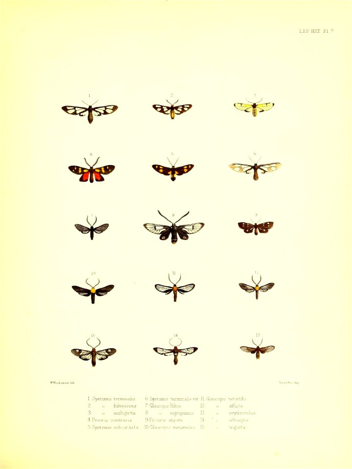 n94_w1150