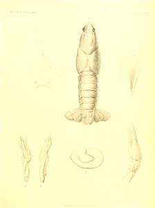 n122_w1150