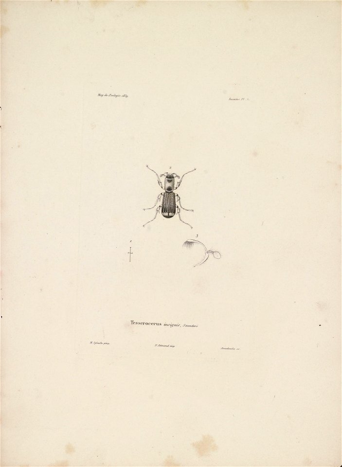 n20_w1150