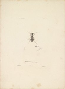 n20_w1150