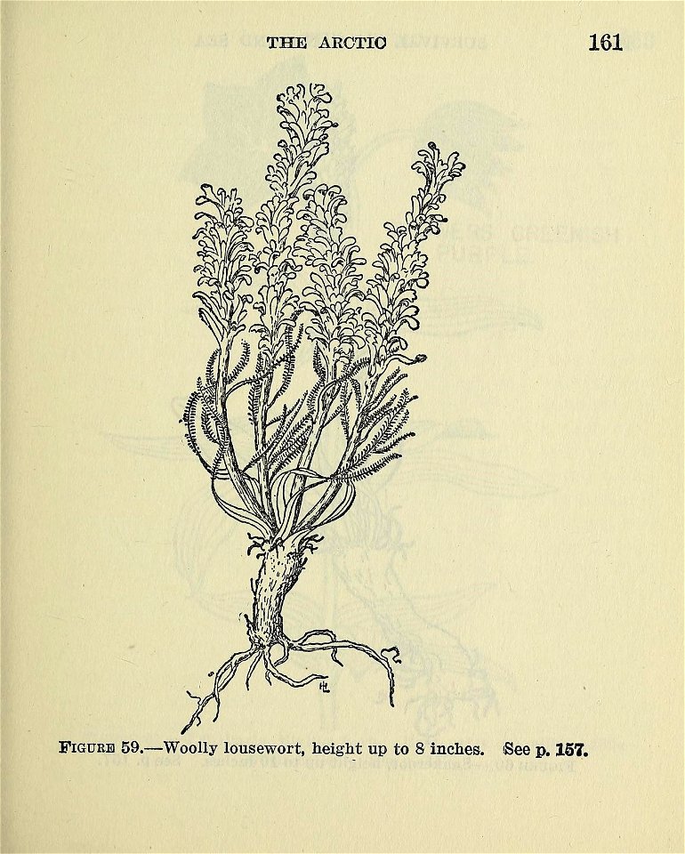 n166_w1150