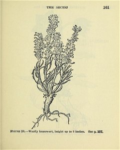 n166_w1150