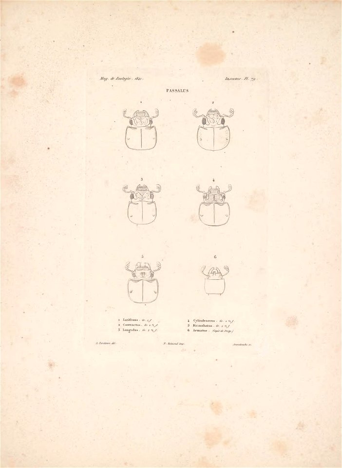 n12_w1150