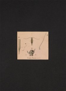 n118_w1150