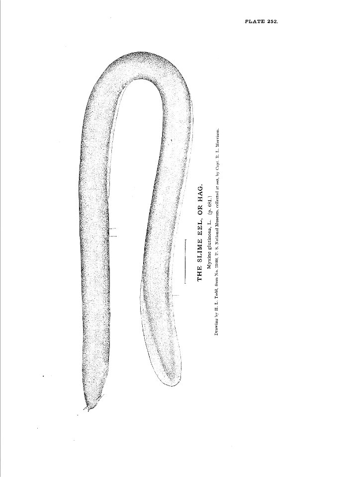 n559_w1150