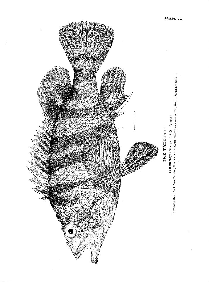 n185_w1150
