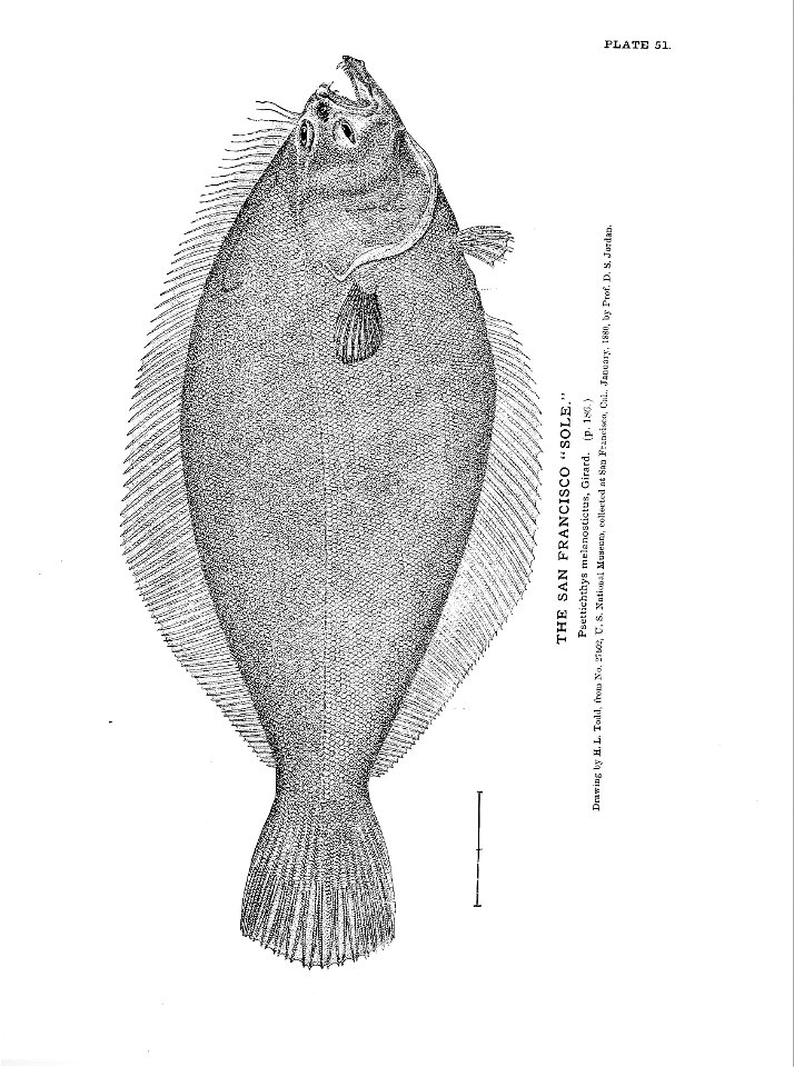 n125_w1150
