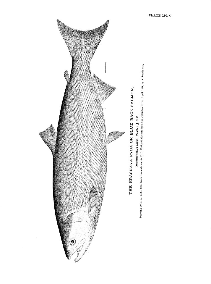 n423_w1150