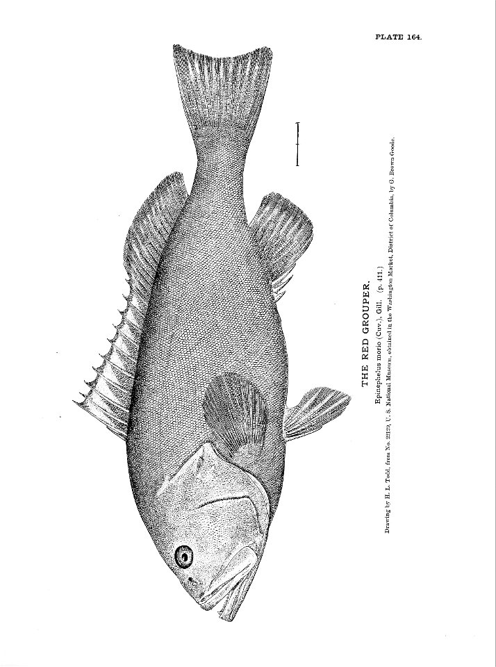 n363_w1150
