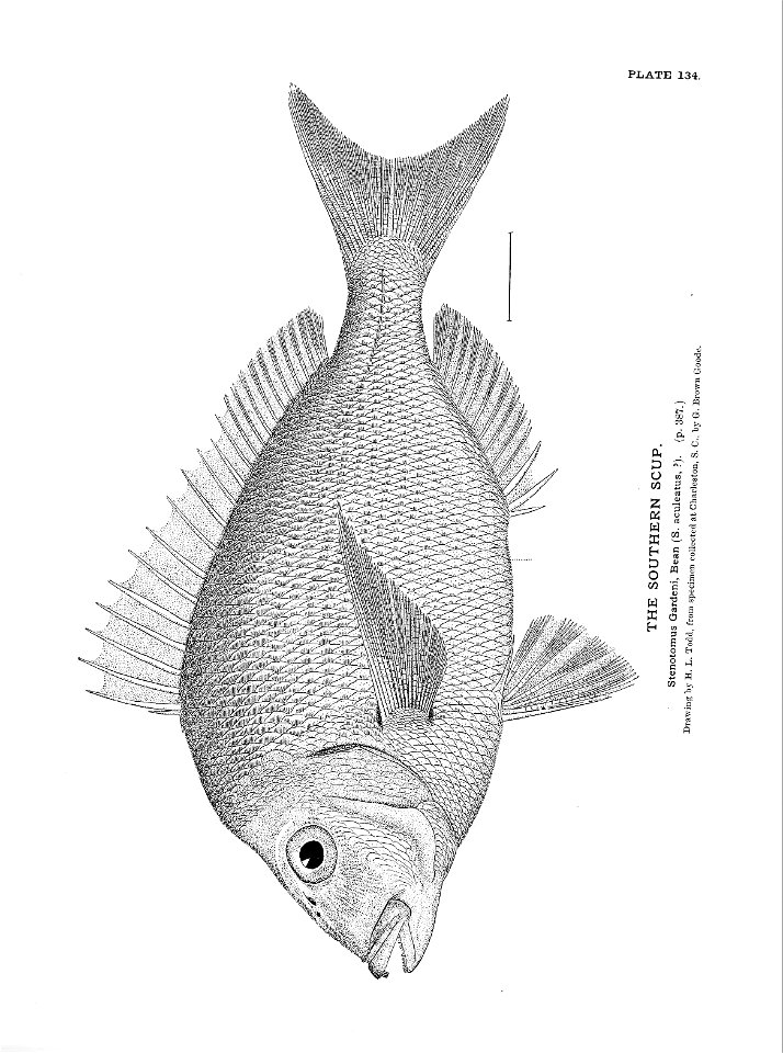 n303_w1150