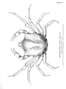 n593_w1150