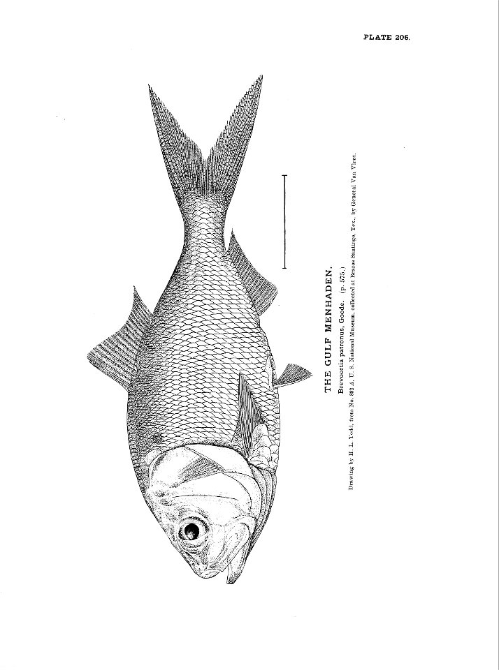 n459_w1150