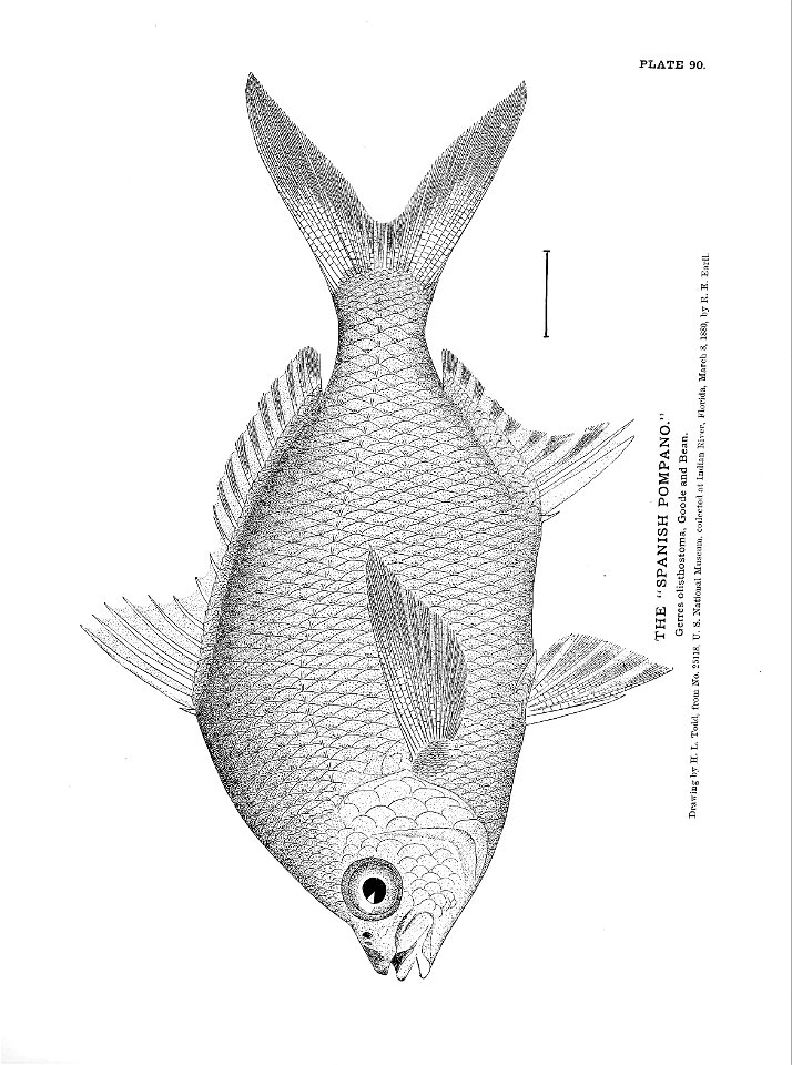 n211_w1150