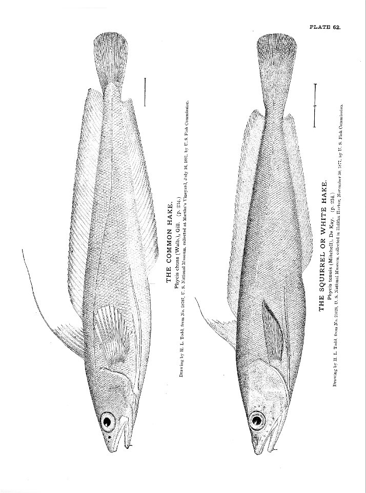 n151_w1150