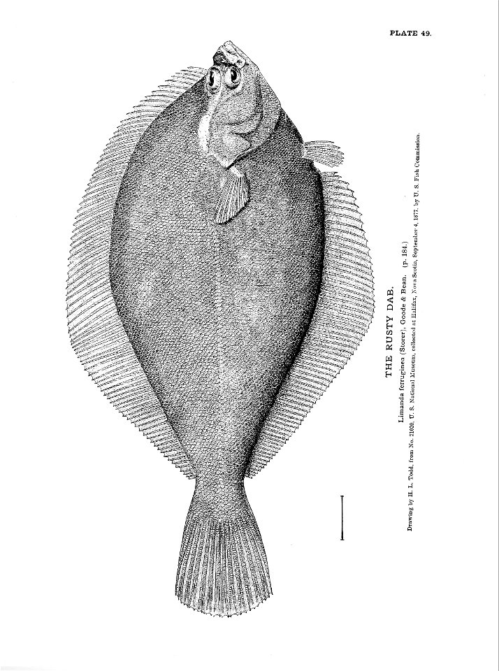 n121_w1150
