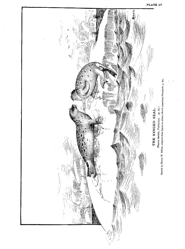 n58_w1150
