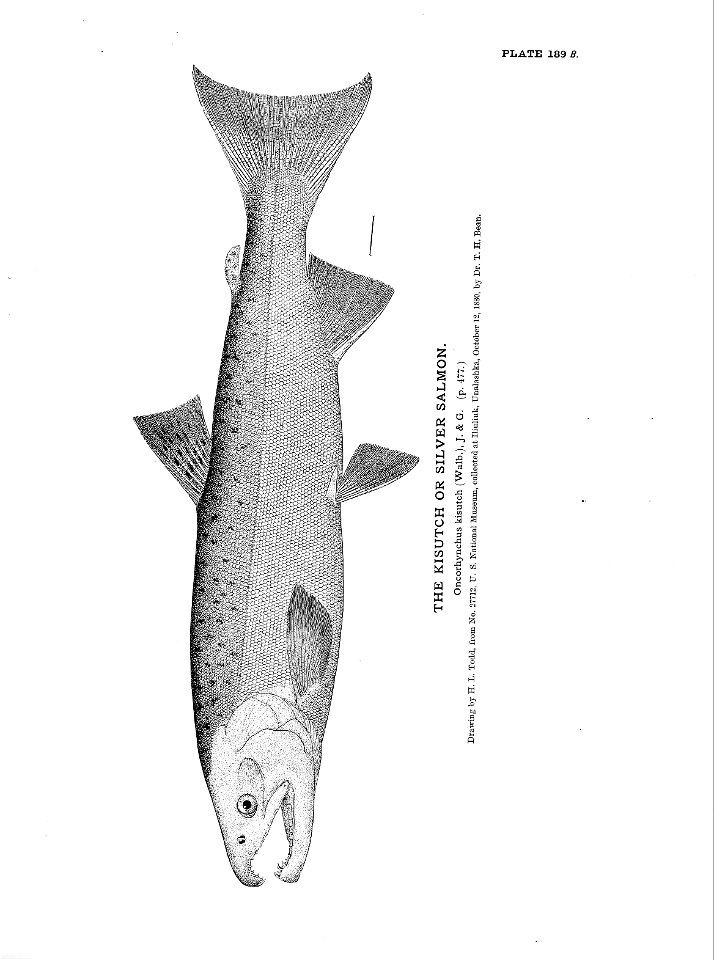 n419_w1150